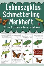 Vom Ei Zum Schmetterling Merkheft Zum Falten Ohne Kleben Vorlage Unterrichtsmaterial Im Fach Sachunterricht In 2020 Unterrichtsmaterial Grundschule Unterrichtsmaterial Grundschule