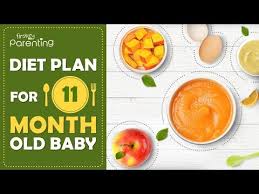 11 months old baby food chart along with homemade recipes