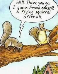 Well There You Go I Guess Frank Wasn T A Flying Squirrel After All Funny Cartoons Jokes Cartoon Jokes Funny Christmas Cartoons