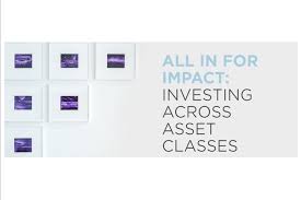 Informed investing for profit and with purpose. Operations Assistant Blue Haven Initiative