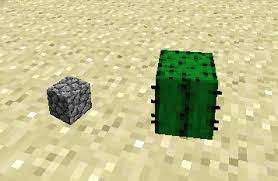 Thank you, from watching cactus grow, it does seem to be around (rounding, oh snap.) a day for cacti to grow. Cactus Official Minecraft Wiki
