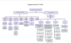 Organizational Structure Alaskaniris