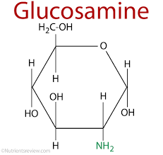 Do glucosamine supplements work? Health Benefits, Side Effects
