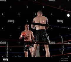 Muay thai hi-res stock photography and images - Page 44 - Alamy