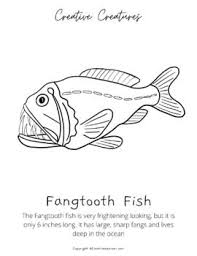 Animal Coloring Book Blobfish Goblin Shark Aye Aye Dumbo Octopus Animal Coloring Books Blobfish Goblin Shark