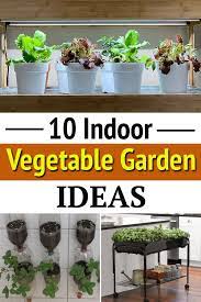 10 Indoor Vegetable Garden Ideas Indoor Vegetable Gardening Vertical Vegetable Gardens Indoor Vegetables