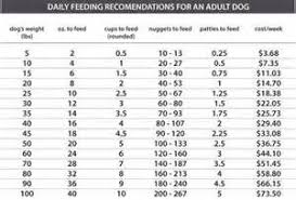 sheltie weight chart yahoo image search results weight