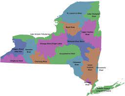 Where can you find a will? Watersheds Nys Dept Of Environmental Conservation