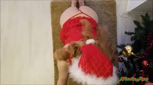 Hoe hoe hoe...sexy Santa Girl enjoys the real Christmas spirit