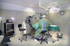 Succes De Frequentation Pour Le Centre Hospitalier Universitaire Veterinaire D Alfort Actualite Chien Santevet