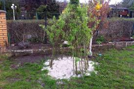 Die kunst der perfekten gestaltung ist unsere leidenschaft. 7 Ideen Fur Die Gartengestaltung Mit Kindern