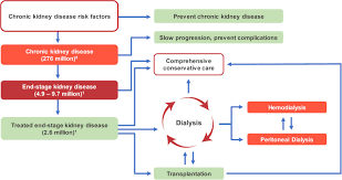 Renal vascular disease affects the blood flow into and out of the kidneys. Increasing Access To Integrated Eskd Care As Part Of Universal Health Coverage Sciencedirect