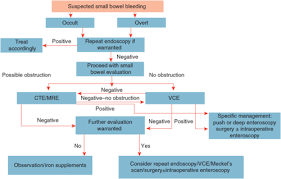 Image result for Small Intestinal Bleeding