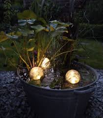 Mini Teich Mit Solarpumpe Und Leuchtkugeln Gekauft Auf Ebay In 2020 Hydrangea Care Growing Hydrangeas Planting Hydrangeas