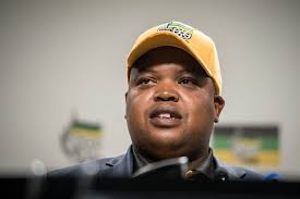 ANC's efforts to silence youth league will destroy the party