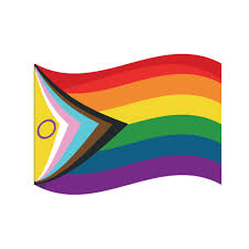I feel like having a million and one different flags makes our rights seem more like a quirky hobby or personality trait than a real cause. 23 Different Pride Flags And What They Represent In The Lgbtq Community Health Com
