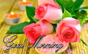 Good Morning Flower Image Good Morning Images Good Morning Wallpaper Good Morning Images Download