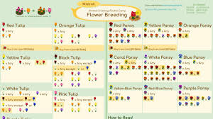 One Reddit User Has Compiled A List Of Flower Breeds Players Can Create Through Cross Pollinat Animal Crossing Pocket Camp Animal Crossing Animal Crossing Cats