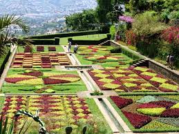 Funchal eignet sich als startpunkt für viele unternehmungen. Madeira Botanischer Garten Jardim Botanico In Funchal
