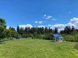 Cromwell holiday park has parking available for guests. Shoreline Area News Cromwell Park On A Sunny Day