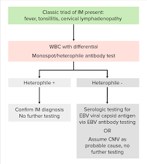 Image result for Monospot