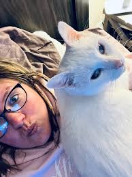 Recommendation for Co that grinds tree stumps?