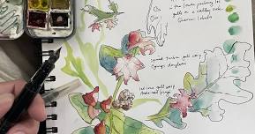 Field Sketching in Ink and Watercolor