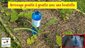 Maybe you would like to learn more about one of these? Arrosage Goutte A Goutte Avec Une Bouteille Norbert Aquaponie