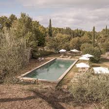 Image result for Galiniera