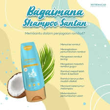 Adalah normal untuk kehilangan 50 hingga 100 rambut sehari. Shampoo Santan Terengganu Startseite Facebook