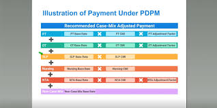 The Proposed Patient Driven Payment Model Pdpm What Does