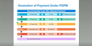 the proposed patient driven payment model pdpm what does