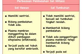 Maybe you would like to learn more about one of these? Perbedaan Pembelahan Sel Mitosis Pada Tumbuhan Dan Hewan