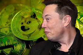 Tesla ceo elon musk appeared to drive the price of dogecoin by as much as 35% higher after he asked followers about the future of crypto. Elon Musk Gets Back On Twitter Sends Dogecoin Soaring
