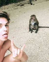 Materi organ organ penyusun sistem pernapasan rofa , sumber : Abian Abiansss Profil Pinterest