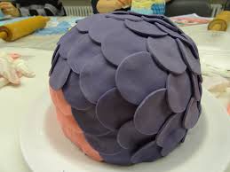 Sie könnten sie auf hüten, schuhen, decken, kuchen, die als dekore im kinderzimmer eines babys. Motivtorte Eule Meine Erste Fondanttorte Yay Kochliebe