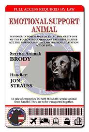 Robot Check Emotional Support Animal Emotional Support Service Animal