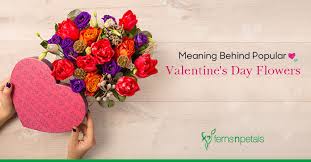 The meaning behind giving flowers. Meaning Behind Popular Valentine S Day Flowers