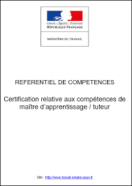 Certification Relative Aux Competences De Maitre D Apprentissage Tuteur Matu Jury Du Titre Professionnel