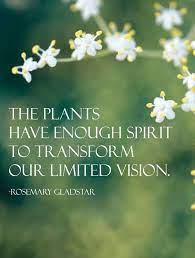 The Plants Have Enough Spirit To Transform Our Limited Vision Rosemary Gladstar Amazing Gardens Plants Medicinal Plants