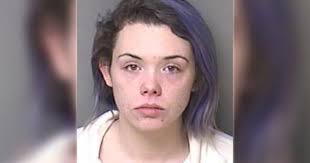 Driver charged with DWI after hitting, killing 2 people in Gaston County