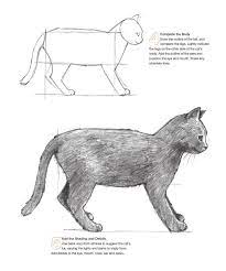 Pin On How To Draw