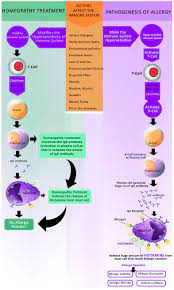 Assured Homeopathy Treatment With Best Homeopathy Medicines Give A Long Term 6 Best Homeopathic Medicines For Allergy Hay Fever Treatment Nasal Allergies Homeopathy Treatment Homeopathy For Allergies