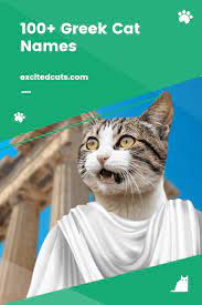 100 Greek Cat Names Cat Names Cats Mythological Names