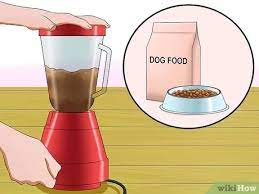 How To Make Emergency Baby Bird Food 11 Steps With Pictures
