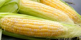 Jagung rebus pada ibu hamil. Awas Jangan Makan Jagung Banyak Banyak Jika Tak Mau Begini Merdeka Com