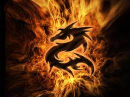 Fire Dragon Dragon Pictures Fire Art Dragon Images