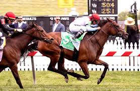 Lowest price of the summer season! Mean Mary Back For More Mayhem In G2 New York