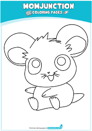 You can also show them a beautiful and colorful picture of a sunflower and ask your little one to color this one in the same manner. Hamster Coloring Pages Books 100 Free And Printable