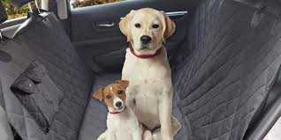 Dog seat covers work to protect your car seats and make car rides more comfortable for your pup. The Best Dog Car Seat Covers In 2021 Pets Guided